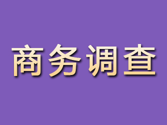 中原商务调查